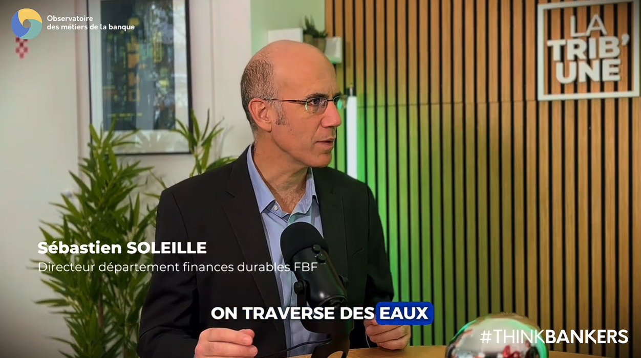 RSE : des ambitions maintenues, malgré un contexte international plus incertain - Sébastien Soleille (Fédération Bancaire Française) et Guillaume Larmaraud (Colombus Consulting)